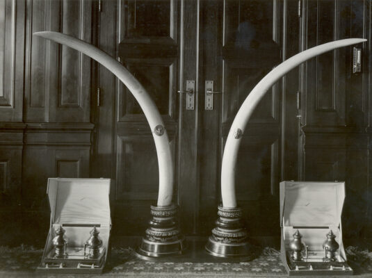 Historische foto van olifantslagtanden en zilveren inktkokers